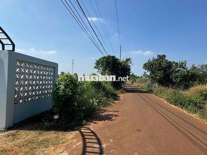 NHÀ VƯỜN GIÁ TỐT -  HỒ CHÍ MINH 2