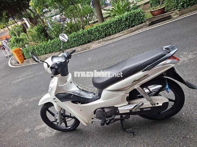 SYM Angela 2015 Trắng-Xám
