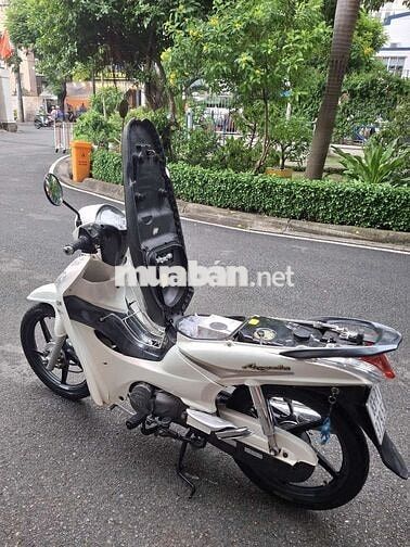 SYM Angela 2015 Trắng-Xám