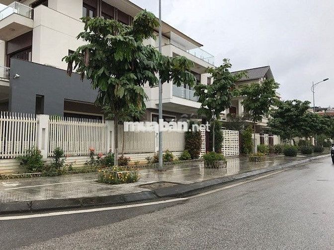 LÔ ĐẤT DIỆN TÍCH LỚN 6.9 tỷ/ 245m2 – BIỆT THỰ VƯỜN – ĐIỆN BÀN ĐÔNG 