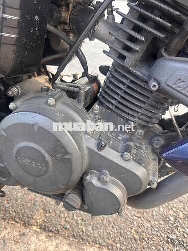 Yamaha Cafe Xanh Nguyên bản
