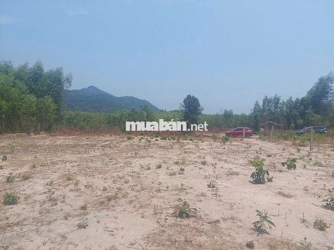 Bán đất 1.004m² Thôn Cà Thiêu - Khánh Hiệp - 28m mặt đường