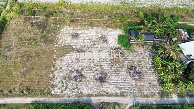 🔥 2 LÔ ĐẤT 10M – SỔ RIÊNG – GẦN ĐT787B – CC TRONG NGÀY 🔥