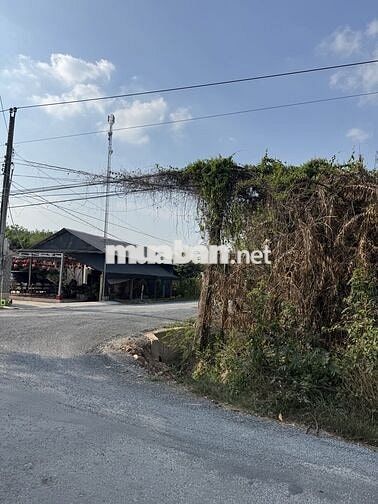 🔥 2 LÔ ĐẤT 10M – SỔ RIÊNG – GẦN ĐT787B – CC TRONG NGÀY 🔥