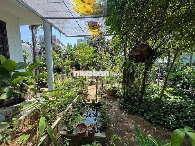 ✅ Cho thuê nhà sân vườn kiệt Nguyễn Phước Nguyên , Thanh Khê - 20tr
