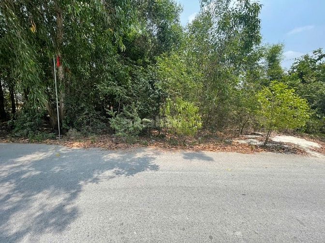 CHÍNH CHỦ BÁN ĐẤT TÂN THÀNH 36 – 408m² FULL THỔ CƯ – ĐƯỜNG NHỰA ĐẸP