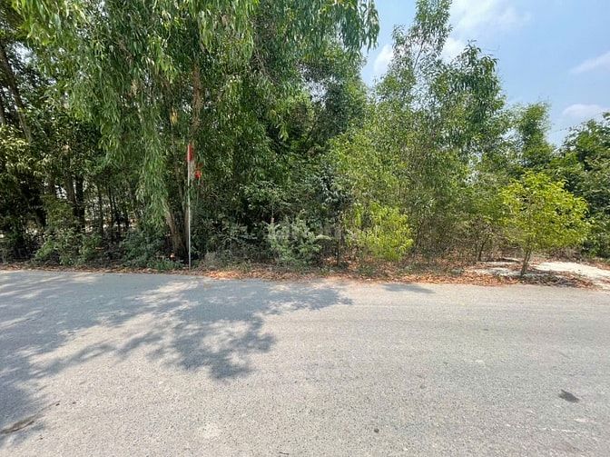 CHÍNH CHỦ BÁN ĐẤT TÂN THÀNH 36 – 408m² FULL THỔ CƯ – ĐƯỜNG NHỰA ĐẸP