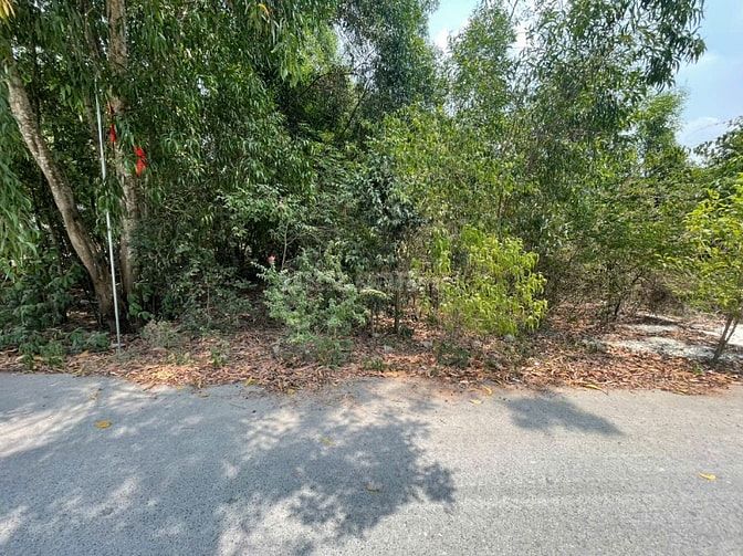 CHÍNH CHỦ BÁN ĐẤT TÂN THÀNH 36 – 408m² FULL THỔ CƯ – ĐƯỜNG NHỰA ĐẸP