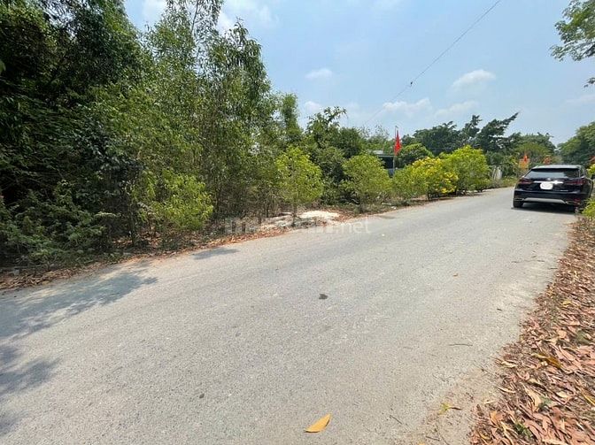 CHÍNH CHỦ BÁN ĐẤT TÂN THÀNH 36 – 408m² FULL THỔ CƯ – ĐƯỜNG NHỰA ĐẸP