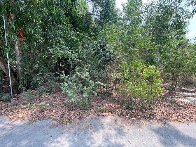 CHÍNH CHỦ BÁN ĐẤT TÂN THÀNH 36 – 408m² FULL THỔ CƯ – ĐƯỜNG NHỰA ĐẸP