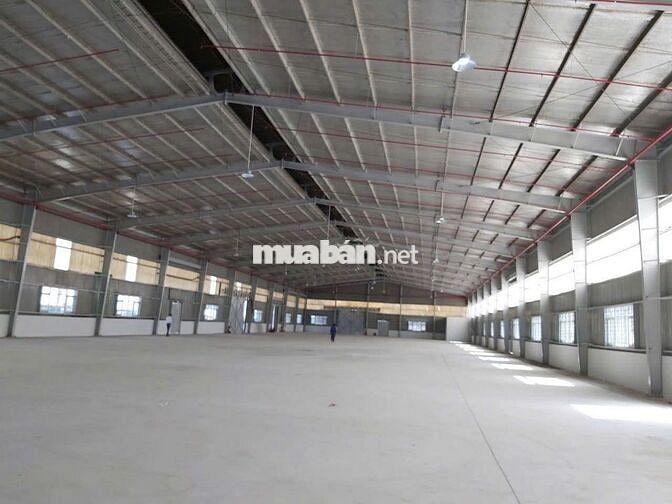 CHO THUÊ XƯỞNG TẠI ĐỨC HÒA LONG AN – CHIA NHỎ 2000M2