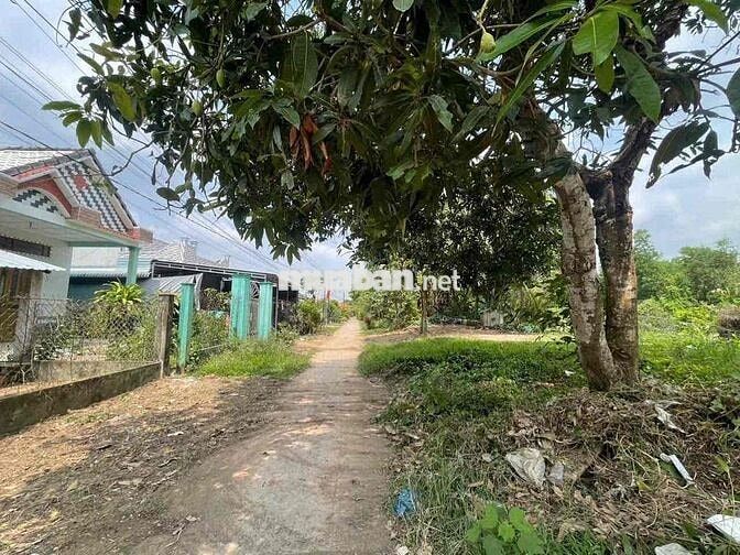 Bán nhà Cấp4 giá rẻ, Kdc Tân Thành, Đường tỉnh 908, Vĩnh Long