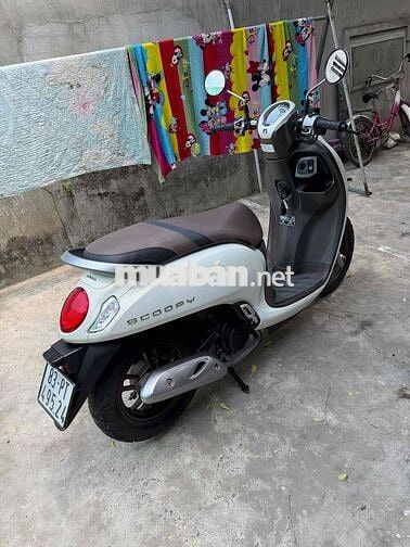 Honda Scoopy màu Trắng bs 83
