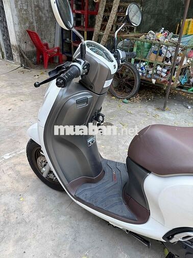 Honda Scoopy màu Trắng bs 83