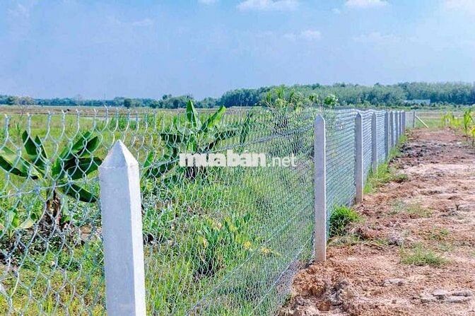 3390 m2 - farm sẳn lập vườn cay ăn trái