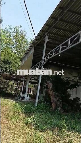 CHO THUÊ KHO XƯỞNG CAO RÁO TRÊN ĐẤT 1700M2 - ĐIỆN 3 PHA - NƯỚC MÁY