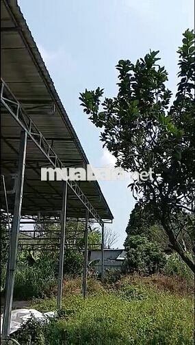 CHO THUÊ KHO XƯỞNG CAO RÁO TRÊN ĐẤT 1700M2 - ĐIỆN 3 PHA - NƯỚC MÁY
