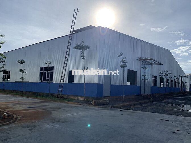✅✅KHO/XƯỞNG 3600M2 TẠI ĐIỆN BÀN –  MỚI 100%, GIÁ CHỈ 50K/M2