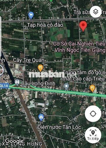 Bán đất sổ đỏ riêng chính chủ Quốc lộ 1A, Long Định, Tiền Giang