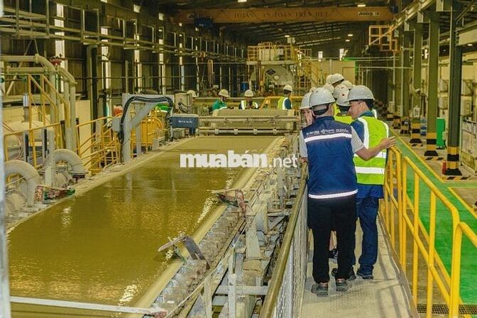 Tuyển CÔNG TẠI NHÀ MÁY VĨNH TƯỜNG