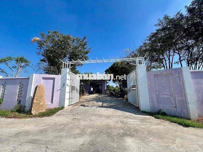 Nhà Vườn Siêu Thoáng Dọn Về Ở Ngay