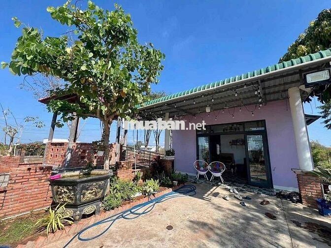 Nhà Vườn Siêu Thoáng Dọn Về Ở Ngay