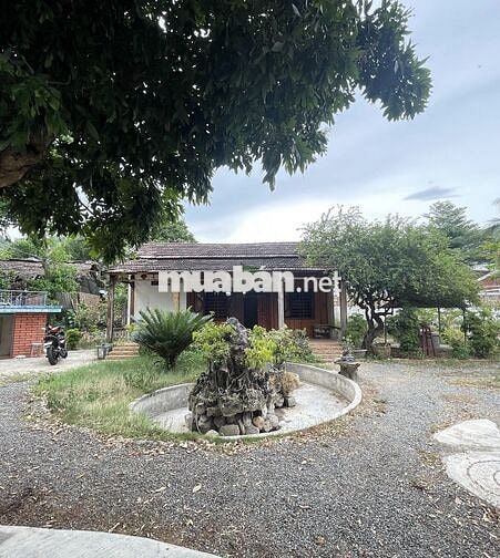 CHO THUÊ NHÀ Ở KINH DOANH SÂN VƯỜN 1000m2 PHÍA BẮC NHA TRANG