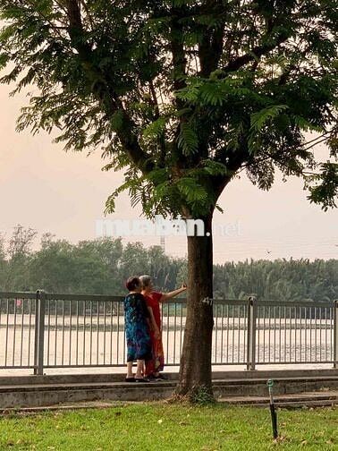 Chung cư Bellaze sát PHM sổ hồng riêng giá cực tốt