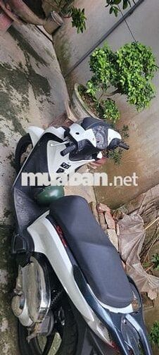Honda PS 125 màu Trắng