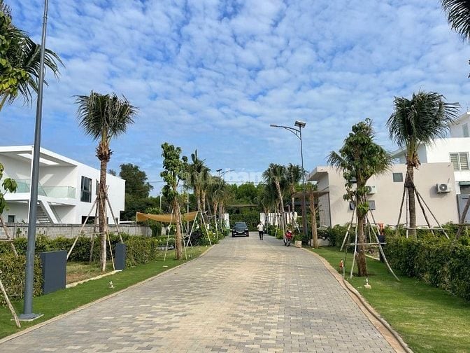 Bạn không mua AVANA vì nó rẻ. Bạn mua vì nó đáng. 