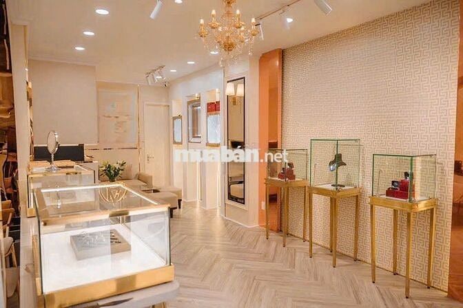 Cho Thuê Nhà Đường Nguyễn Đình Chiểu, Quận 3 ( Ngang 4.5m - Nhà Đẹp )