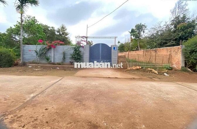 Nhà Đẹp Vườn Rộng Đồng Nai mới