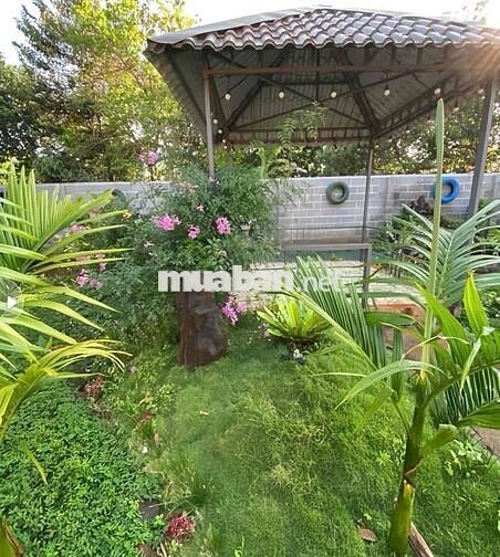 Nhà Đẹp Vườn Rộng Đồng Nai mới