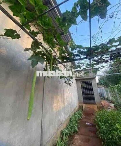 Nhà Đẹp Vườn Rộng Đồng Nai mới