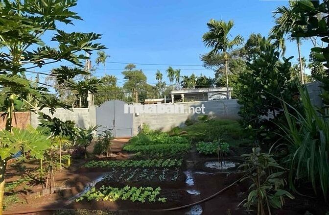 Nhà Đẹp Vườn Rộng Đồng Nai mới