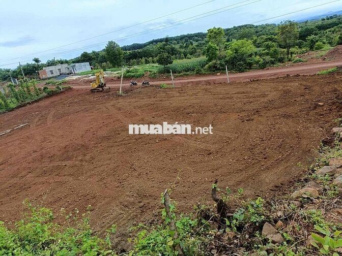 BÁN ĐẤT MẶT TIỀN KM7 - GẦN CHỢ 312, DAKMIL 1,2hec