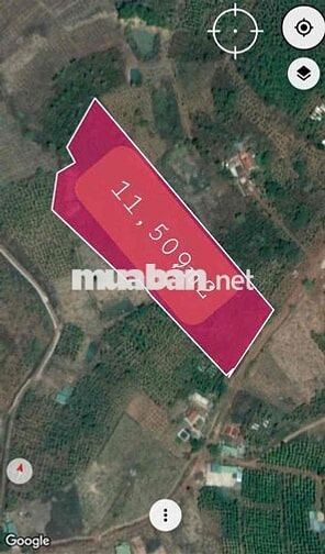 BÁN ĐẤT MẶT TIỀN KM7 - GẦN CHỢ 312, DAKMIL 1,2hec