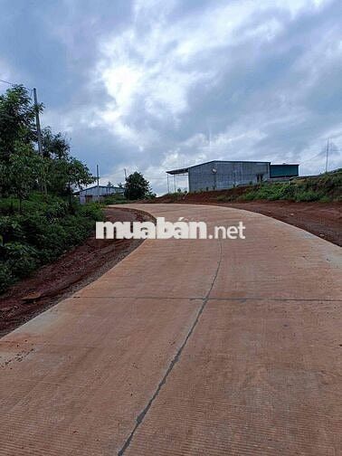 BÁN ĐẤT MẶT TIỀN KM7 - GẦN CHỢ 312, DAKMIL 1,2hec
