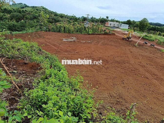 BÁN ĐẤT MẶT TIỀN KM7 - GẦN CHỢ 312, DAKMIL 1,2hec