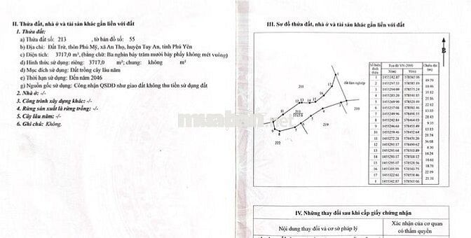 Đất cây lâu năm gần các khu đô thị du lịch biển, có sổ đỏ