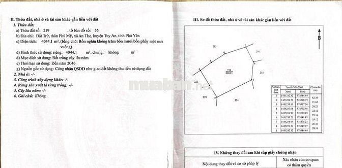 Đất cây lâu năm gần các khu đô thị du lịch biển, có sổ đỏ