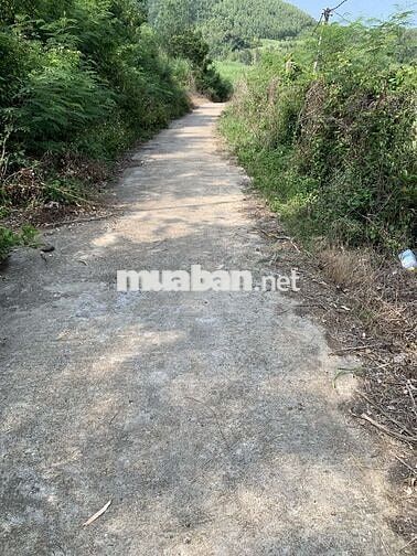 Đất cây lâu năm gần các khu đô thị du lịch biển, có sổ đỏ