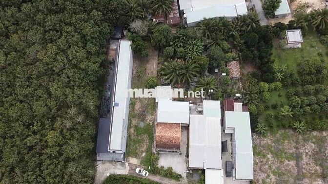 Đất thổ cư ngay kcn Phước Đông tiện xây nhà, nhà trọ