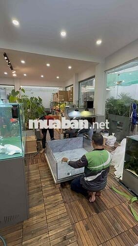 TUYỂN 2 THỢ LÀM HỒ CÁ