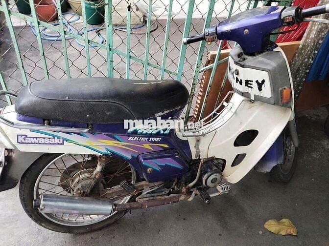 Kawasaki Max II Nhật Tím trắng 