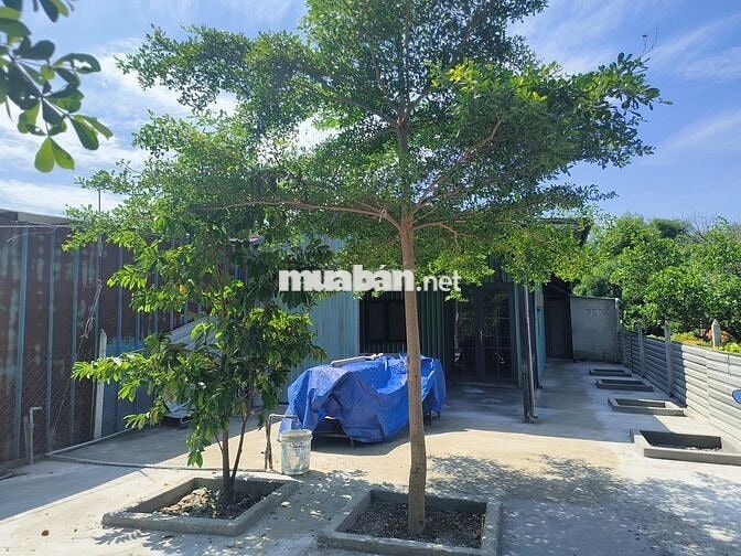 Bán đất Củ Chi (xã Phước Vĩnh An cũ) thổ cư hết đất, tặng nhà