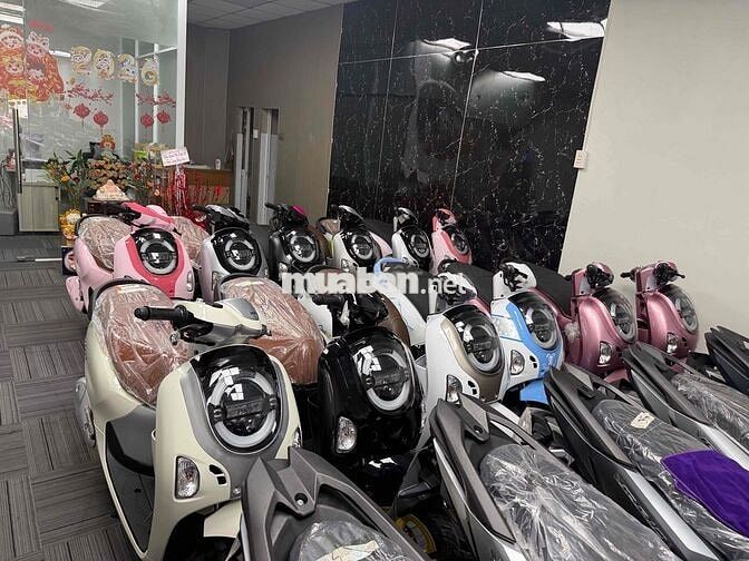 xe nhập khẩu mới
