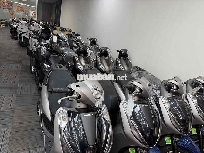 xe nhập khẩu mới