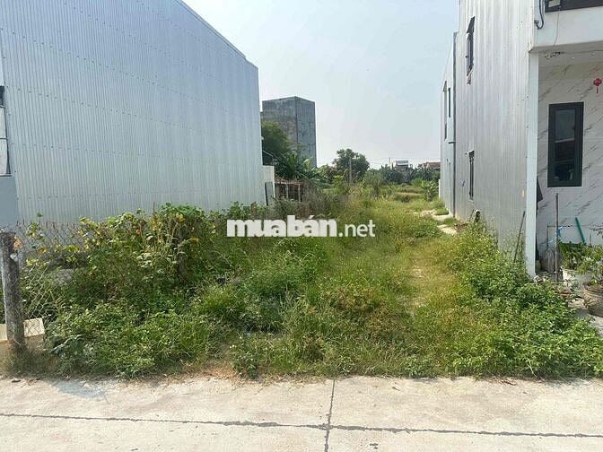 bán đất bê tông chính 5m.giá 1tyX