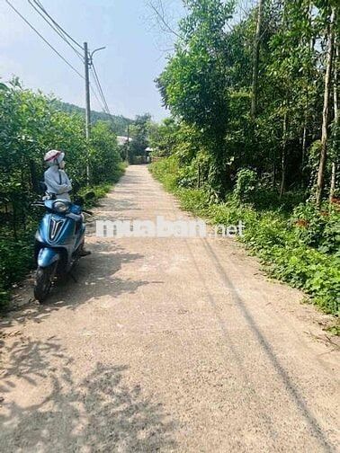 BÁN LÔ ĐẤT GIÁ TỐT – ĐƯỜNG BÊ TÔNG – KHÔNG KHÍ TRONG LÀNH 🌿